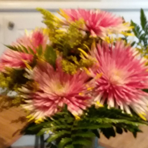 Meet the Posher - Picture 5 of 5